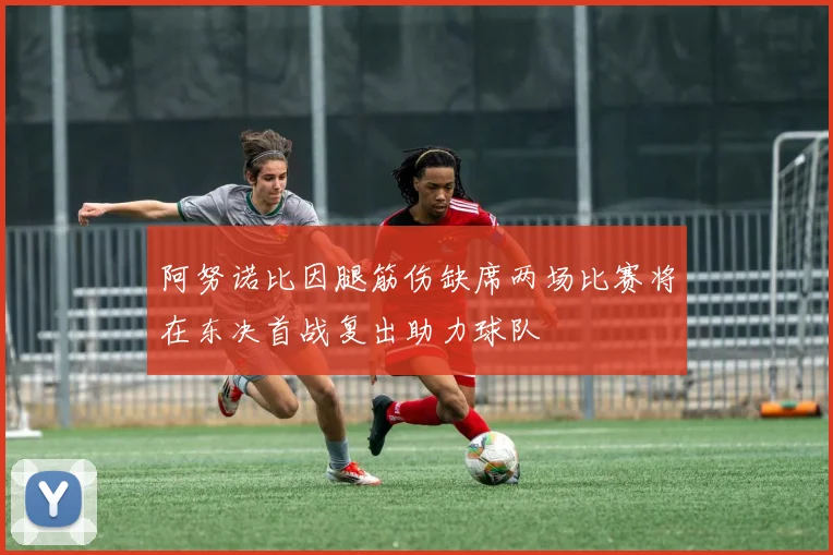 阿努诺比因腿筋伤缺席两场比赛将在东决首战复出助力球队